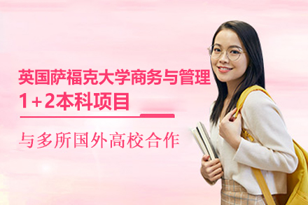 西安文致国际预科英国萨福克大学商务与管理1+2本科项目深度解析