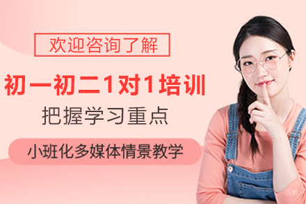 天津初一初二1对1培训班