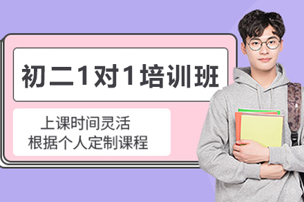 天津初二1对1培训班