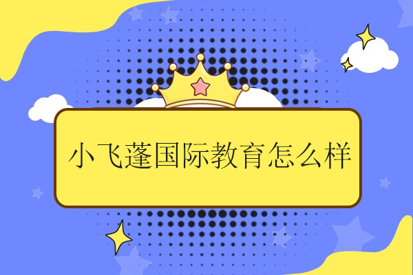 武汉小飞蓬国际教育怎么样