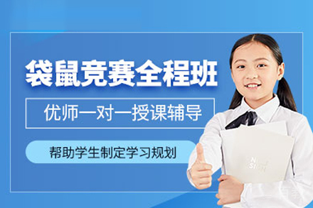 袋鼠数学竞赛培训班
