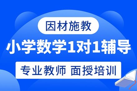 小學(xué)數(shù)學(xué)培訓(xùn)課程