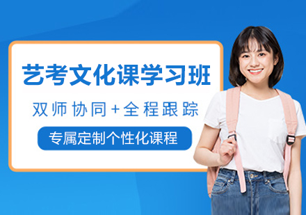 苏州艺考文化课学习班