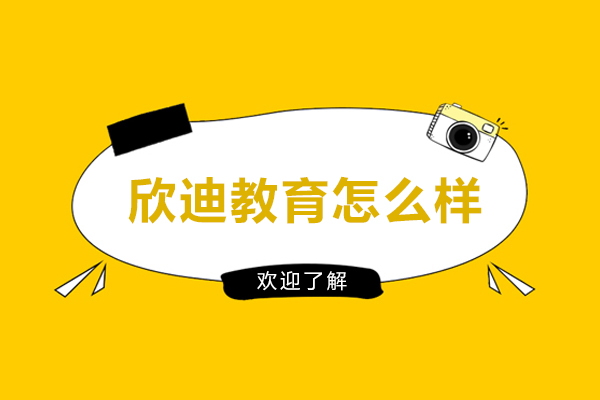长春欣迪教育怎么样