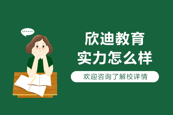 长春欣迪教育实力怎么样