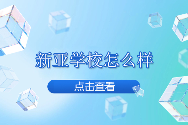 北京新亚学校怎么样
