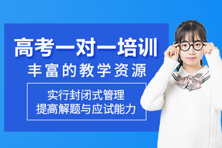 高考一对一培训课程