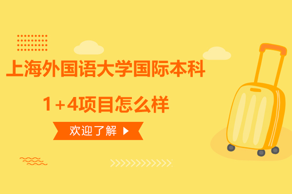 上海外国语大学国际本科1+4项目怎么样