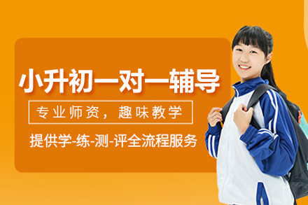 小升初一对一辅导班