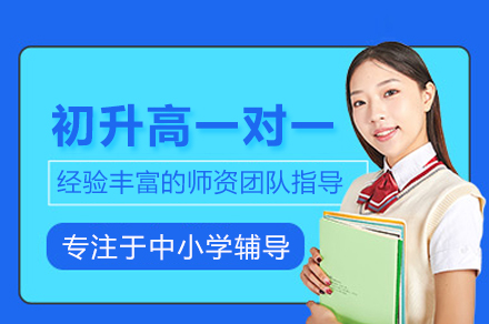 初升高一对一辅导班