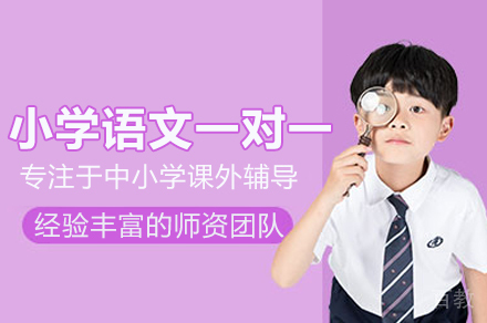 小学语文一对一辅导班