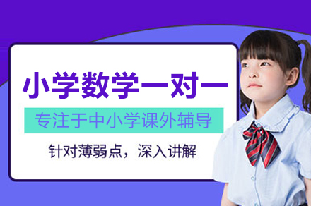 小学数学一对一辅导班