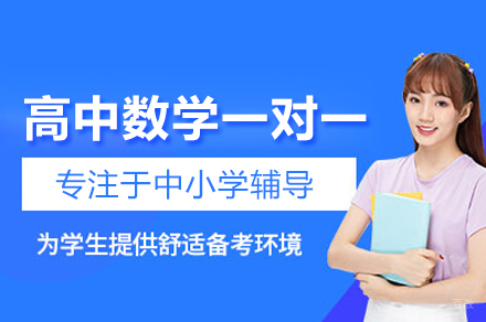 高中数学一对一培训班