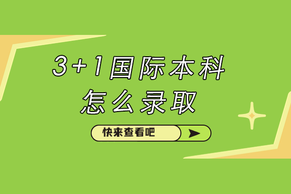 苏州大学3+1国际本科怎么录取