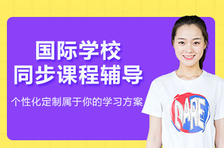 杭州国际学校同步课程辅导