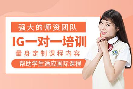 上海igcse一对一培训班