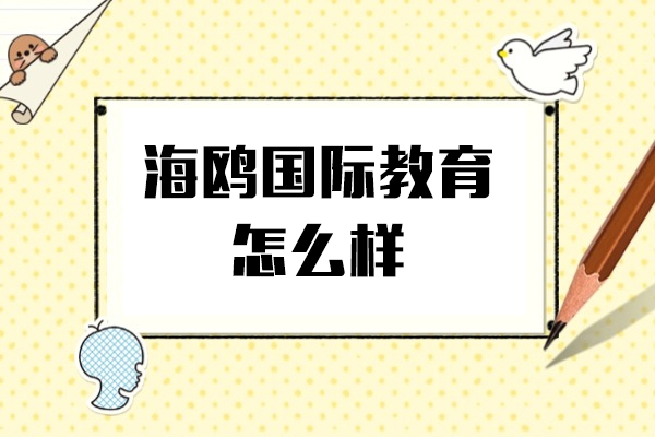 上海海鸥国际教育怎么样-课程性价比高吗