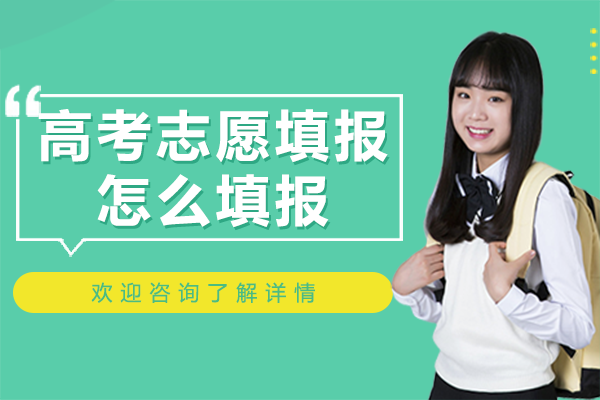 上海高考志愿填报全流程指南：政策解析、策略技巧与避坑要点
