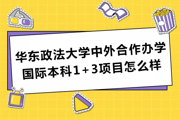 华东政法大学中外合作办学国际本科1+3项目怎么样