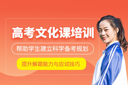 高考文化课小班课