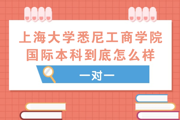 上海大学悉尼工商学院国际本科到底怎么样