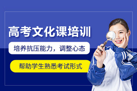 高考文化课一对一培训班