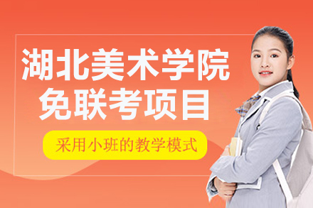湖北美术学院免联考项目