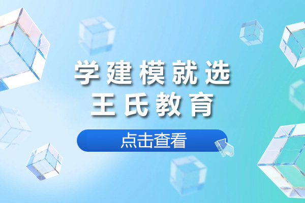 南宁学建模就选王氏教育