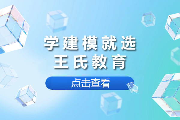 南宁学建模就选王氏教育