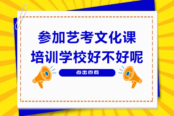參加藝考文化課培訓(xùn)學(xué)校好不好呢
