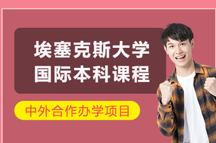昆明仰能教育埃塞克斯大学国际本科课程全解析：不出国门衔接海外名校的优选路径