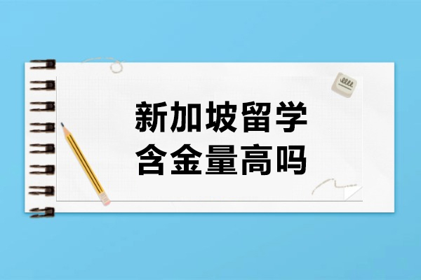 新加坡留学价值全解析：哪些专业更具长期发展优势？