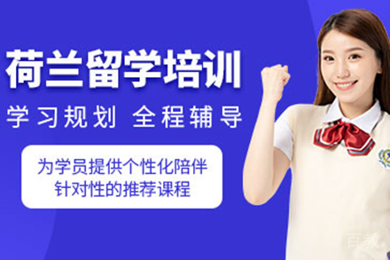 荷兰留学规划全攻略:精准定位申请方案与全程服务解析