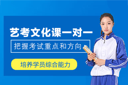 鄭州藝考文化課一對一培訓(xùn)班