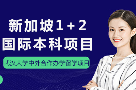 武汉大学中外合作办学留学项目