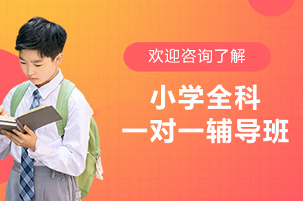 兰州小学全科一对一辅导班