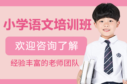 深圳小学语文培训班