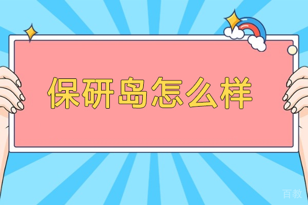 保研岛服务体系全解析:一站式升学规划专家
