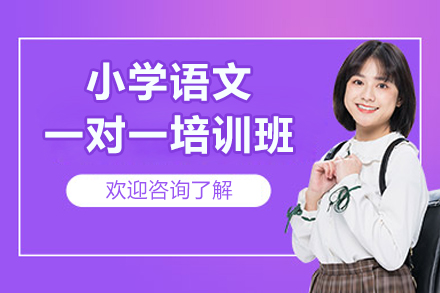 郑州小学语文一对一培训班