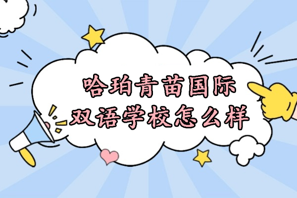 北京哈珀青苗国际双语学校怎么样