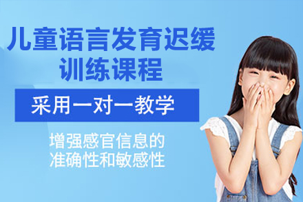佛山兒童語言發(fā)育遲緩訓(xùn)練課程