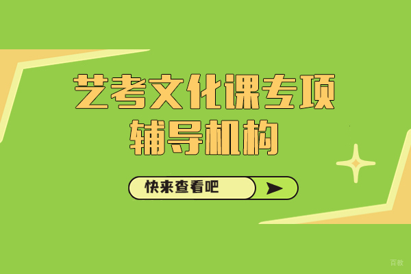 上海早教中小学-上海艺考文化课专项辅导机构-争气复读学校