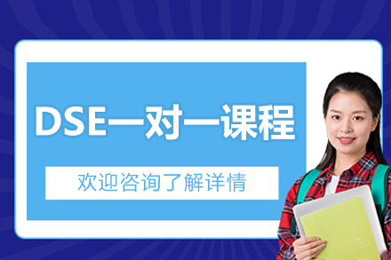 北京DSE一对一课程