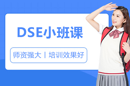 北京DSE小班课