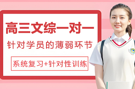 南京高三文综提分新路径：一对一培训班全维度解析