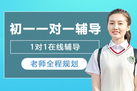 南京初一一对一辅导班