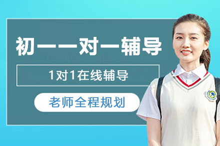 南京初一一对一辅导班