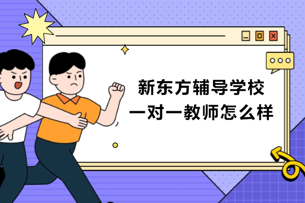 南京新东方辅导学校一对一教师怎么样