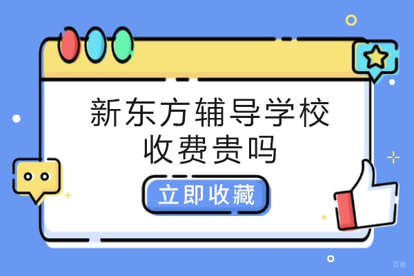 南京新东方辅导课程收费全解析:高性价比教学方案揭秘