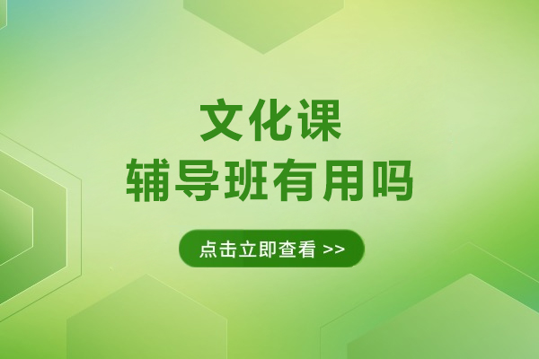 文化课辅导班效果深度解析：提分关键与选择指南